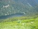 Thumbs/tn_i Le lac d Altenweiher.jpg
